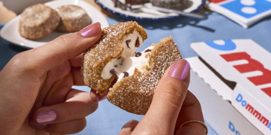 NEW Domino’s S’mores Lava Cakes Dropping Next Week!