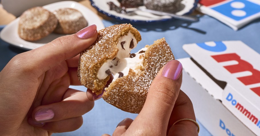 NEW Domino’s S’mores Lava Cakes Dropping Next Week!