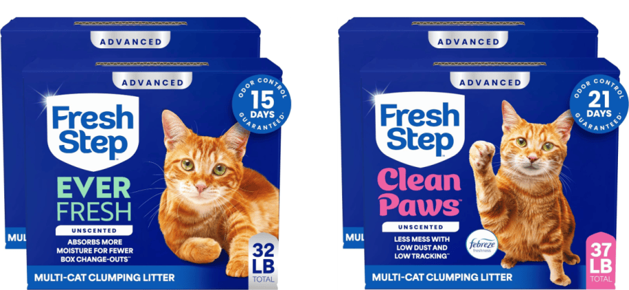 4 packs of cat litter