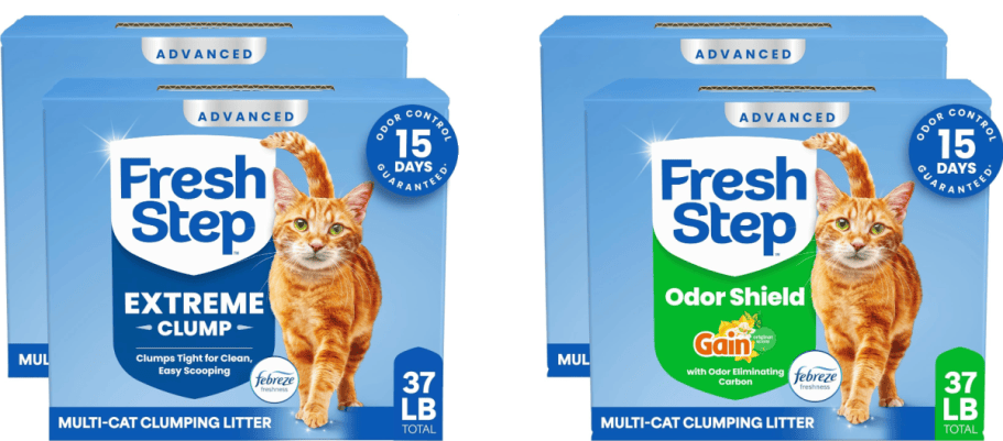4 boxes of cat litter
