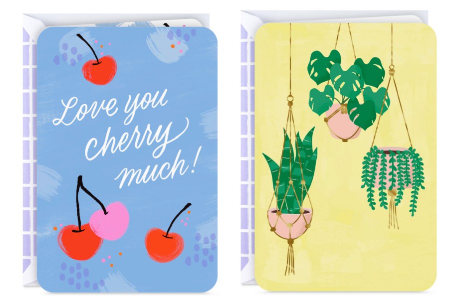 cherry and houseplant card