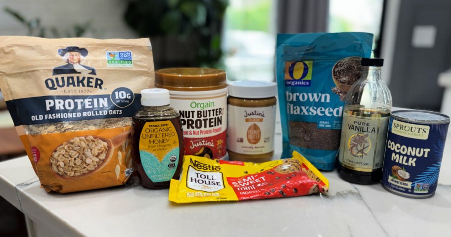 ingredients to make protein bites