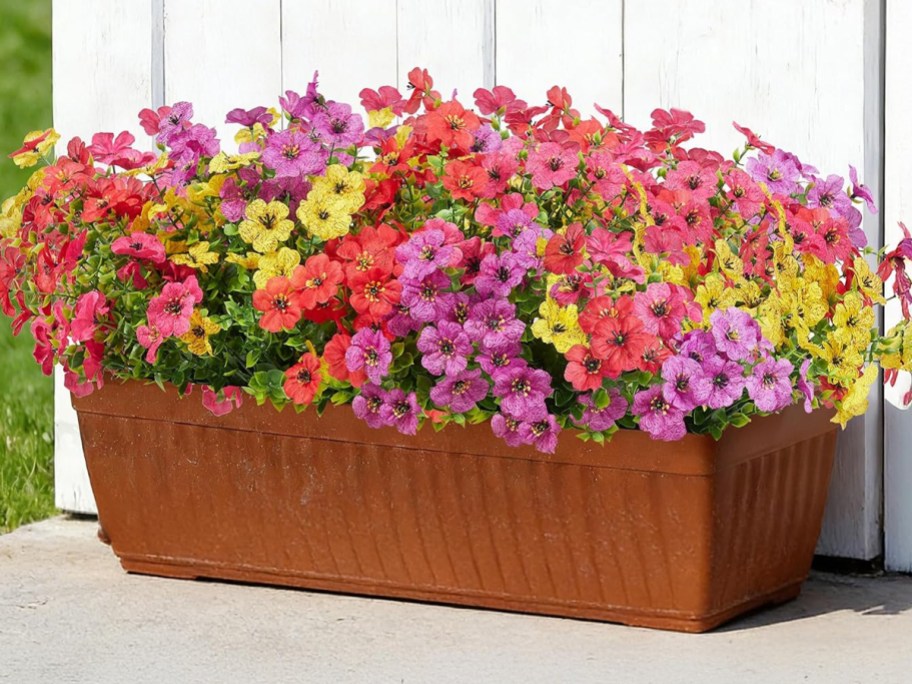 purple, yellow, and red flowers in brown pot