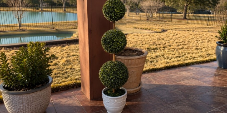 The Popular My Texas House Topiaries Are Finally on Sale!
