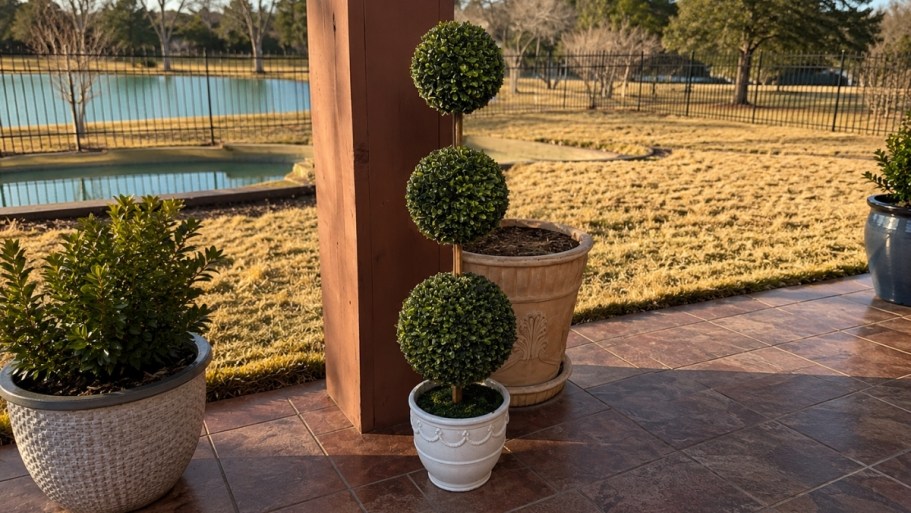 The Popular My Texas House Topiaries Are Finally on Sale!