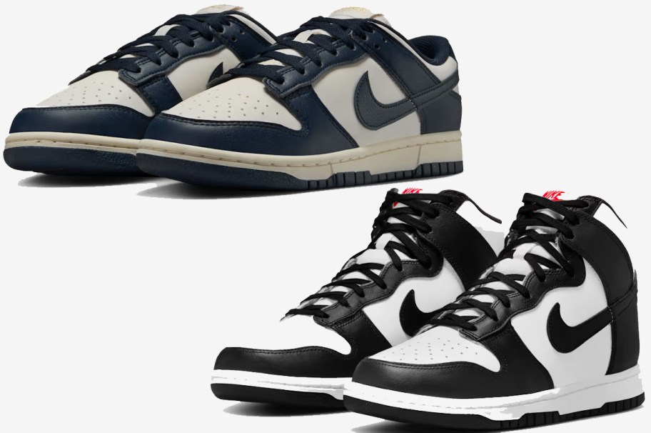 blue and black nike dunks
