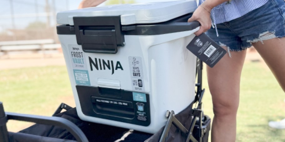 Up to $79 Off Ninja FrostVault Cooler + Free Shipping | Keeps Ice for FIVE Days