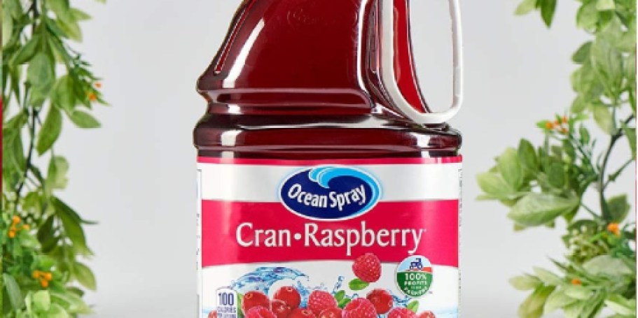 BIG Ocean Spray Juice Only $3.67 Shipped on Amazon