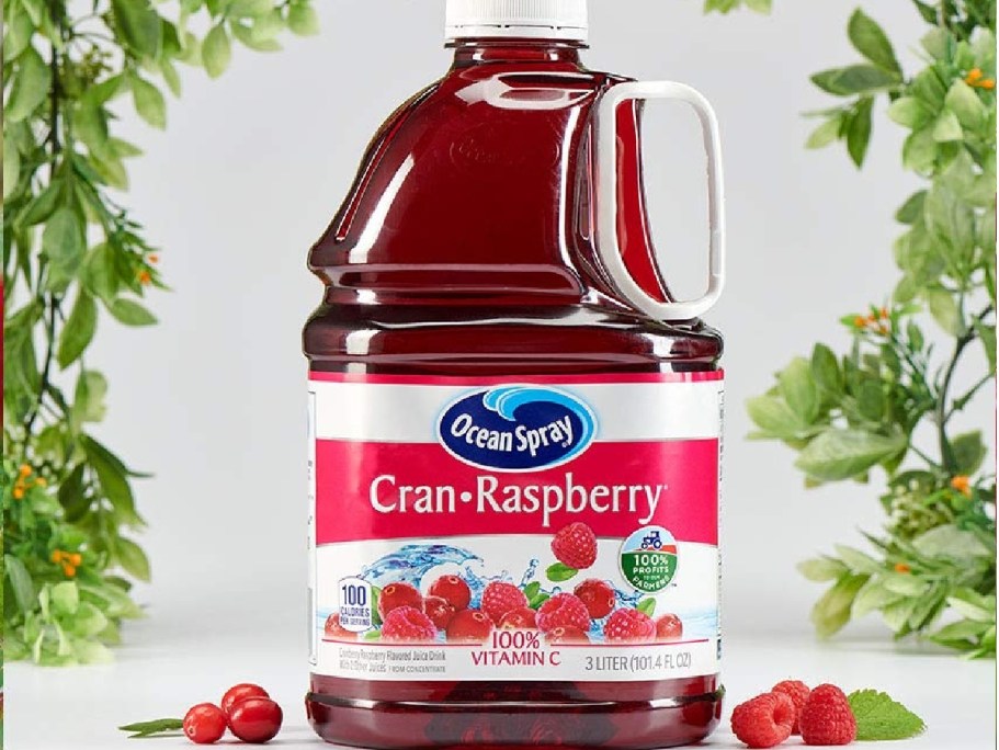 BIG Ocean Spray Juice Only $3.67 Shipped on Amazon