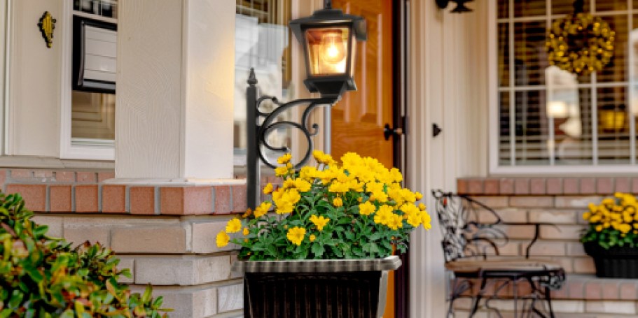 Solar Lantern Planter Only $29.99 on Amazon (Reg. $50)
