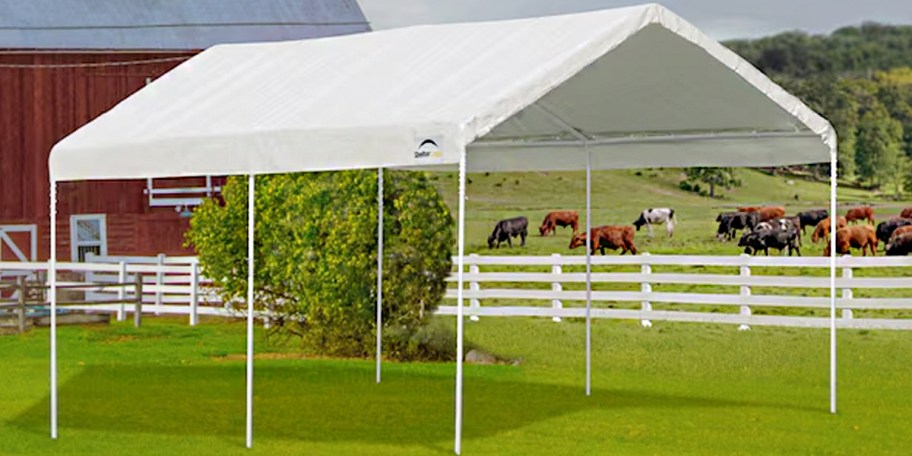 white rectangle canopy on farm