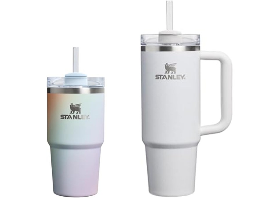 rainbow and white stanley tumblers
