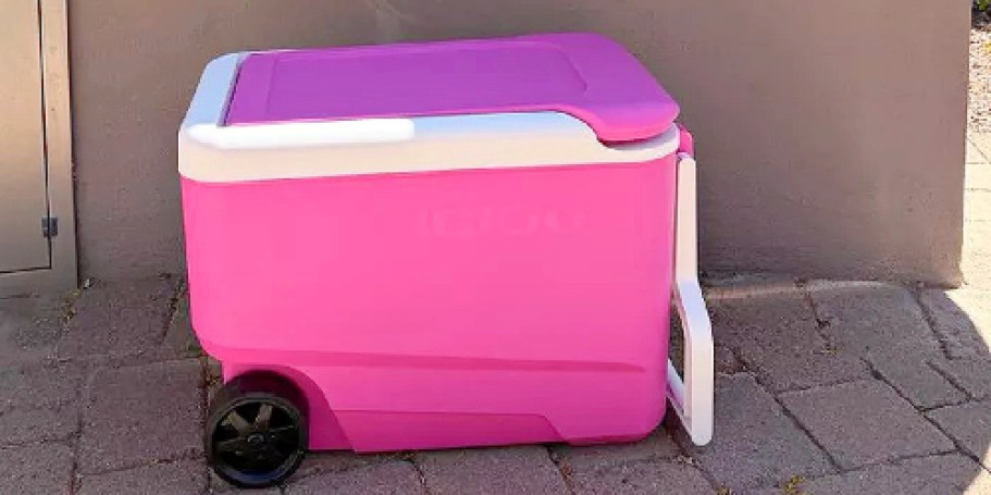 Sun Squad Igloo Cooler Just $24.50 on Target.com (Holds Over 50 Cans!)