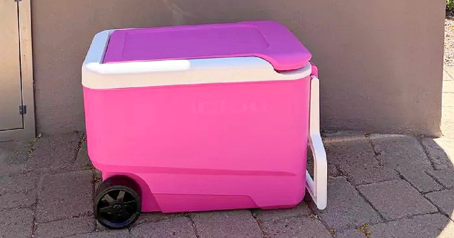A pink cooler on wheels positioned against a wall.
