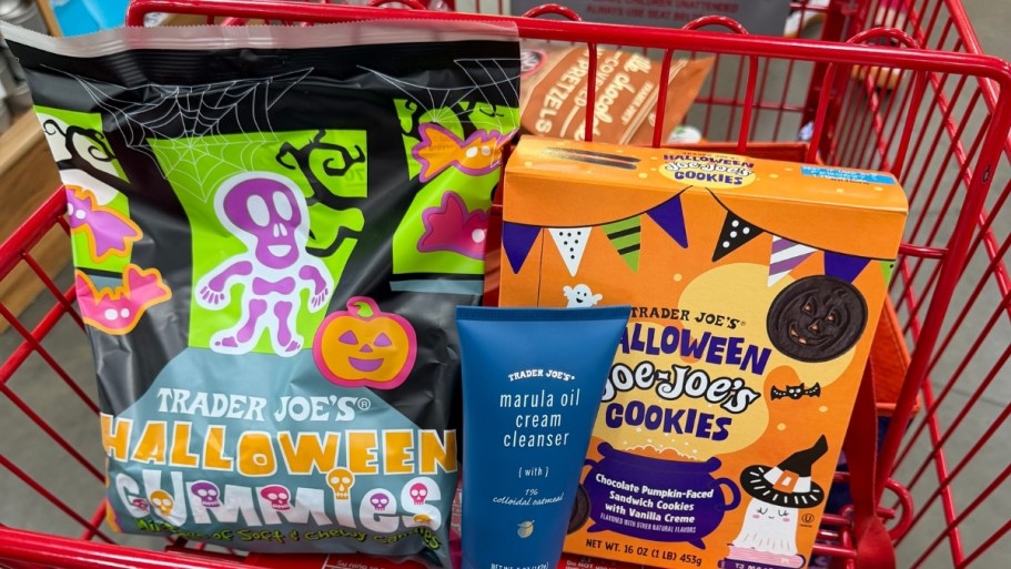 NEW Trader Joe’s Fall Finds Are Here | Pumpkin Spice, Maple, Caramel & More