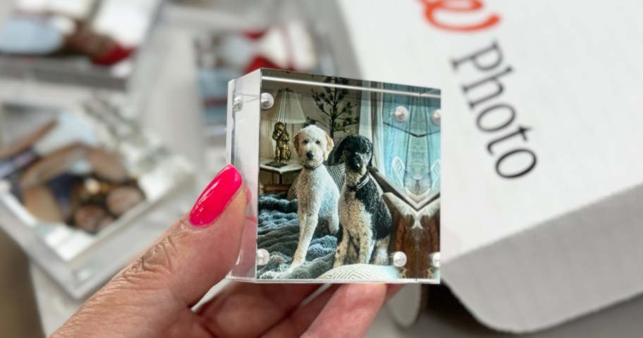 hand holding an acrylic photo block with a picture of dogs