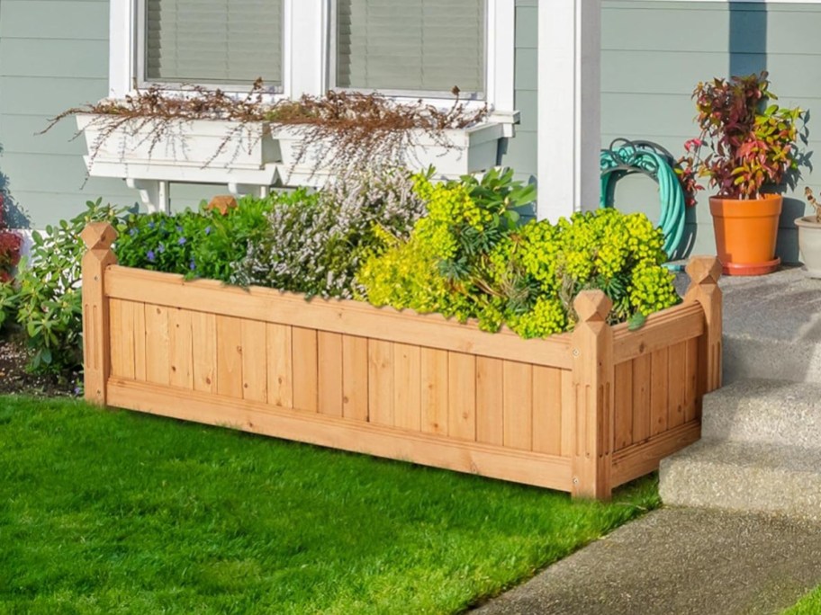 wooden garden bed with vegetables