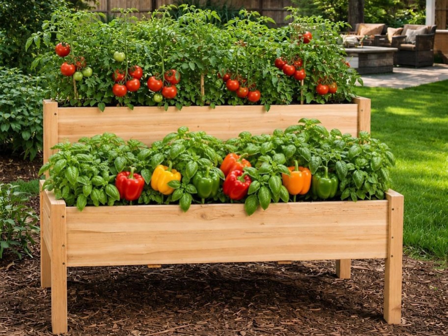 two tier wooden garden bed with vegetables
