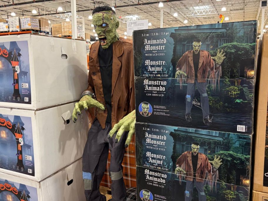 Animated monster on display at the store and inside of the box