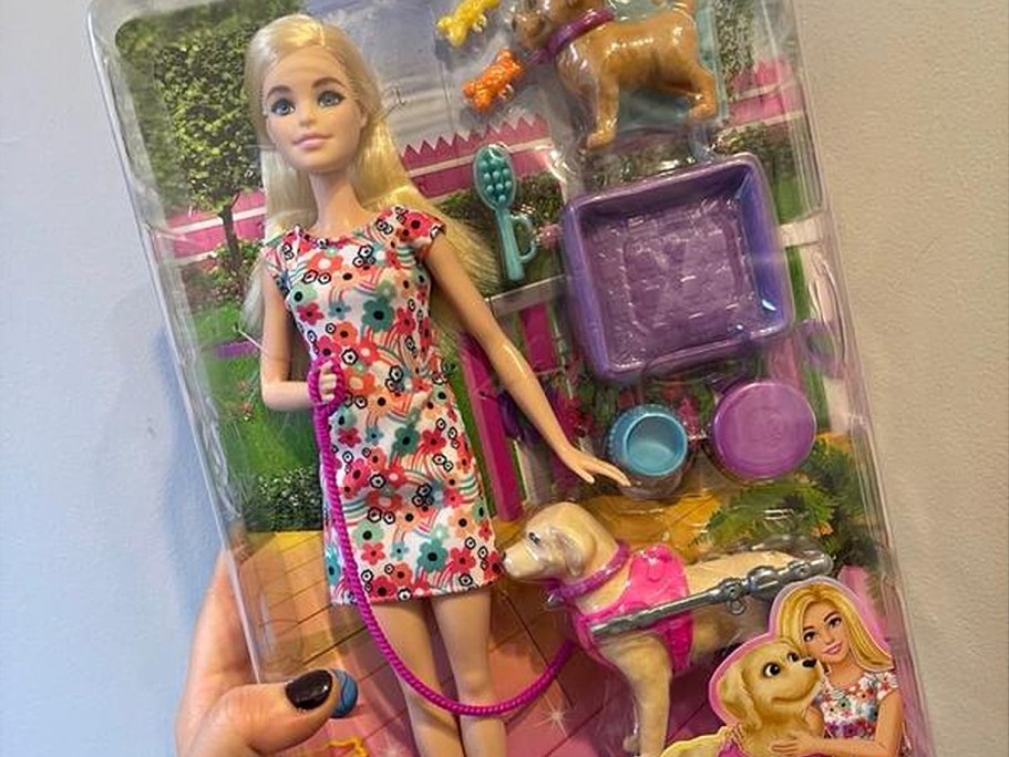 Barbies Playsets from $3.97 After Walmart Cash