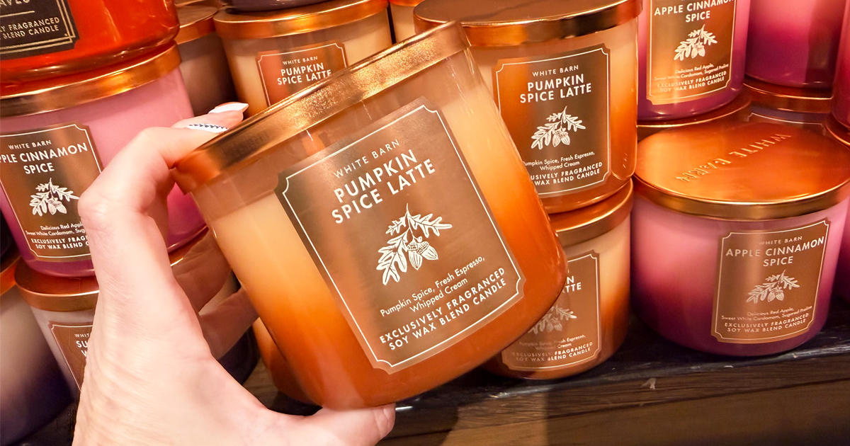 FREE Bath & Body Works 3-Wick Candle with $50 Purchase | Hip2Save