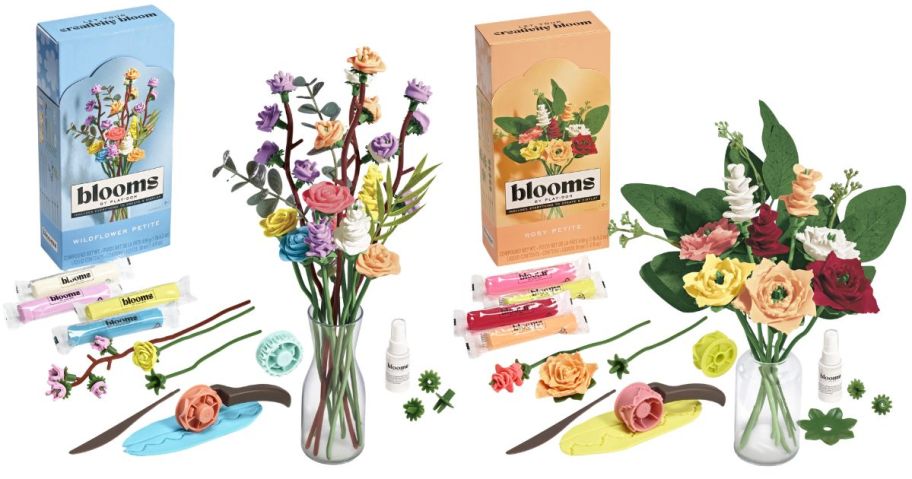 Blooms by Play-Doh Wildflower Petite and Rosy Petite Flower Bouquet