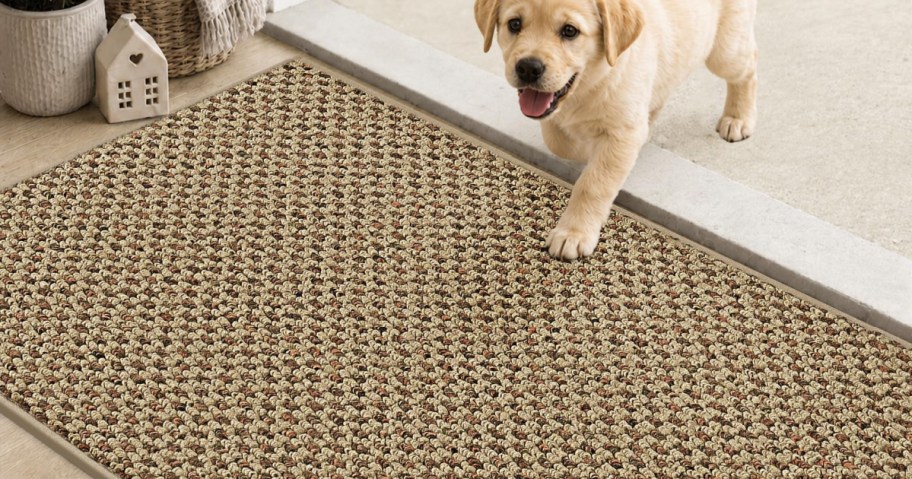 A light golden puppy stepping over a threshold onto a textured beige and brown patterned doormat.