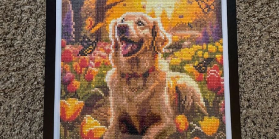 Diamond Painting Kits from $3.99 on Amazon
