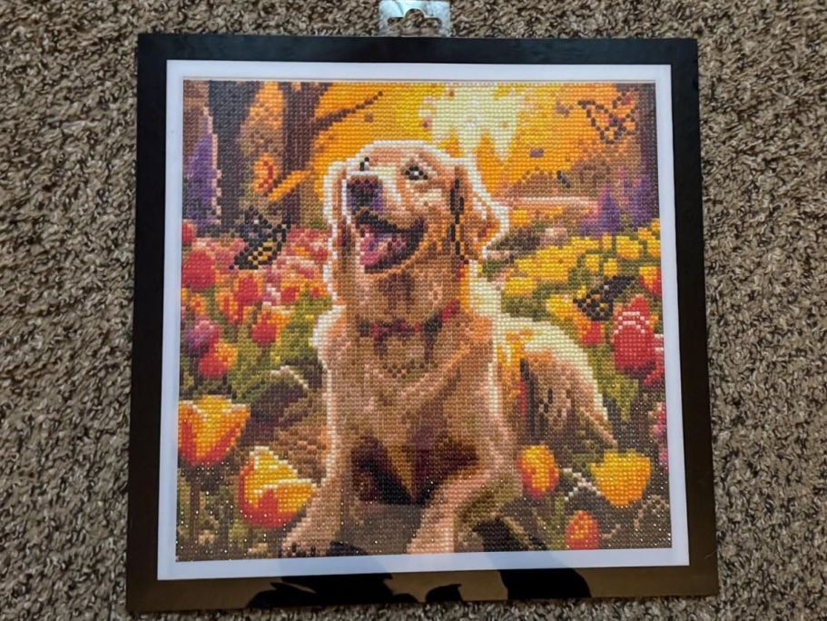 Diamond Painting Kits from $3.99 on Amazon