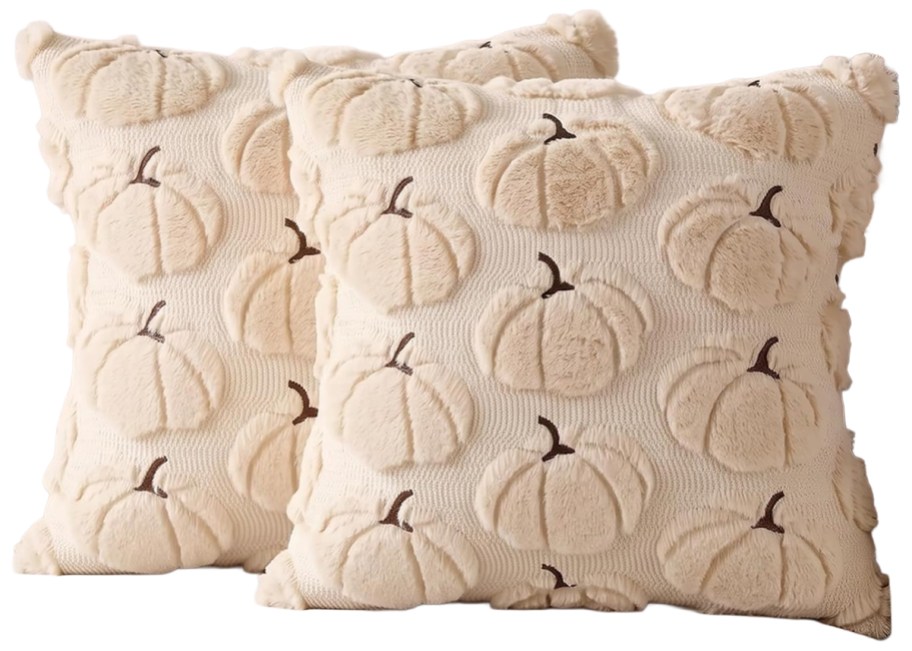 Fall Pumpkin 16x16 Pillow Cover 2-Pack