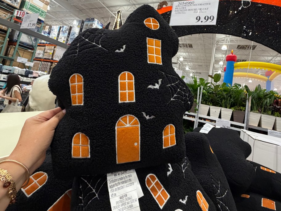 Halloween Decorative PIllows