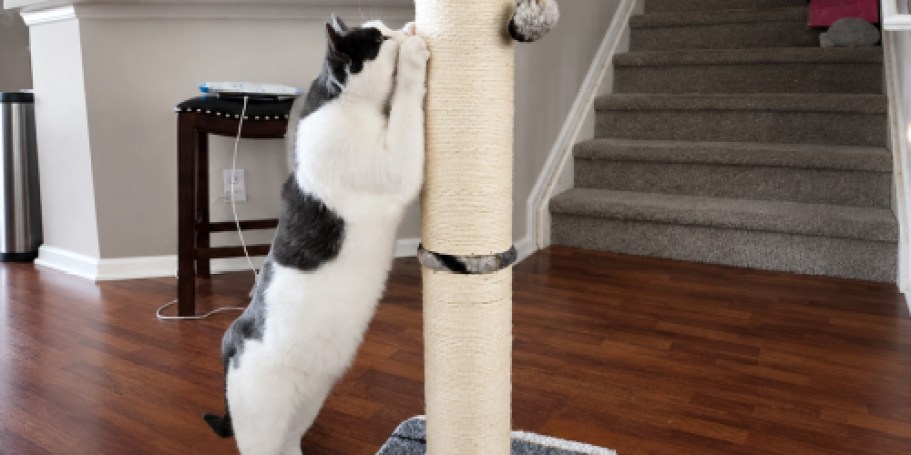 Cat Scratching Post Just $14.99 on Amazon (Reg. $40)