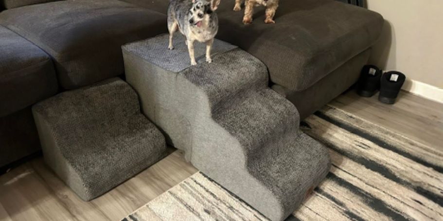 Dog Stairs from $22.99 Shipped on Amazon (Reg. $46) | Great for Old Dogs!