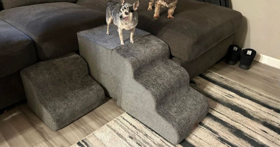 Dog Stairs from $22.99 Shipped on Amazon (Reg. $46) | Great for Old Dogs!