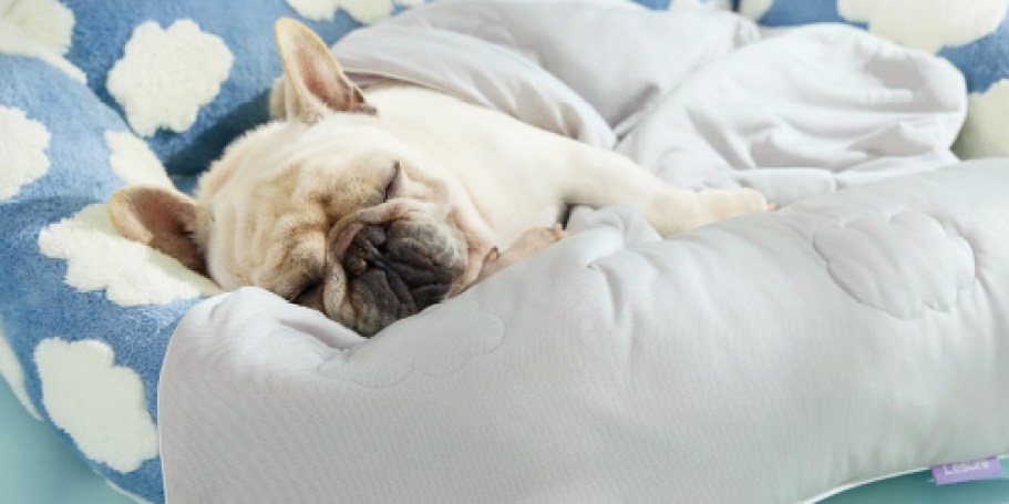 Dog Cooling Blanket Only $11.99 Shipped for Amazon Prime Members (Reg. $38)