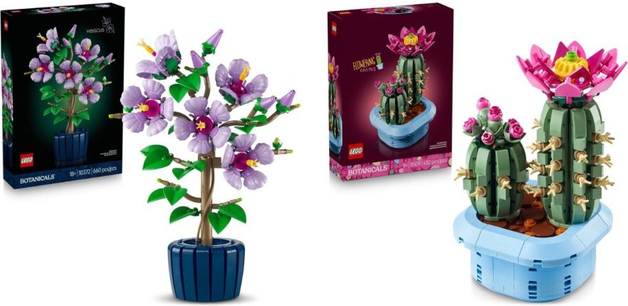 Stock images of LEGO botanicals Hibiscus and Flowering Cactus