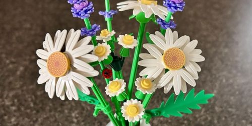 It’s Back! LEGO Botanical Daisies Just $7.99 After Walmart Cash (Reg. $15)