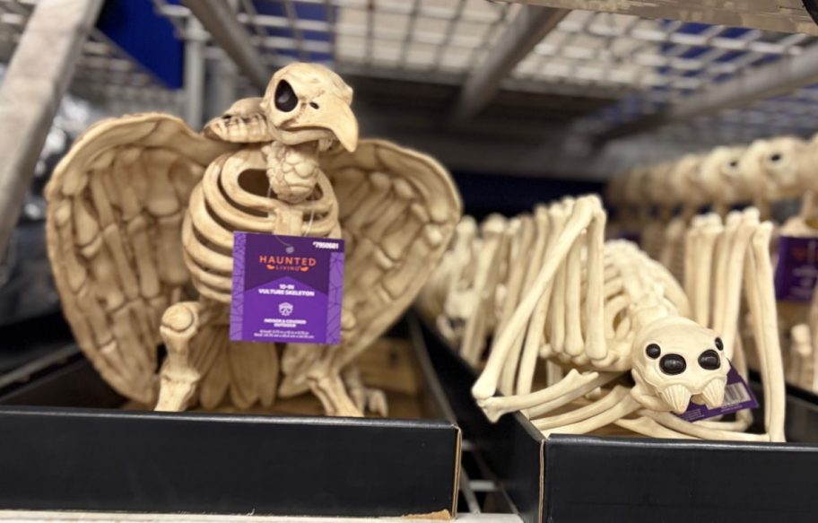 Lowe's Vulture and Spider Skeleton Decorations