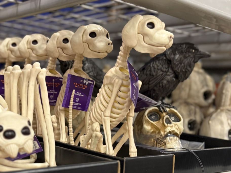 Lowe's Skeleton Dog Decorations