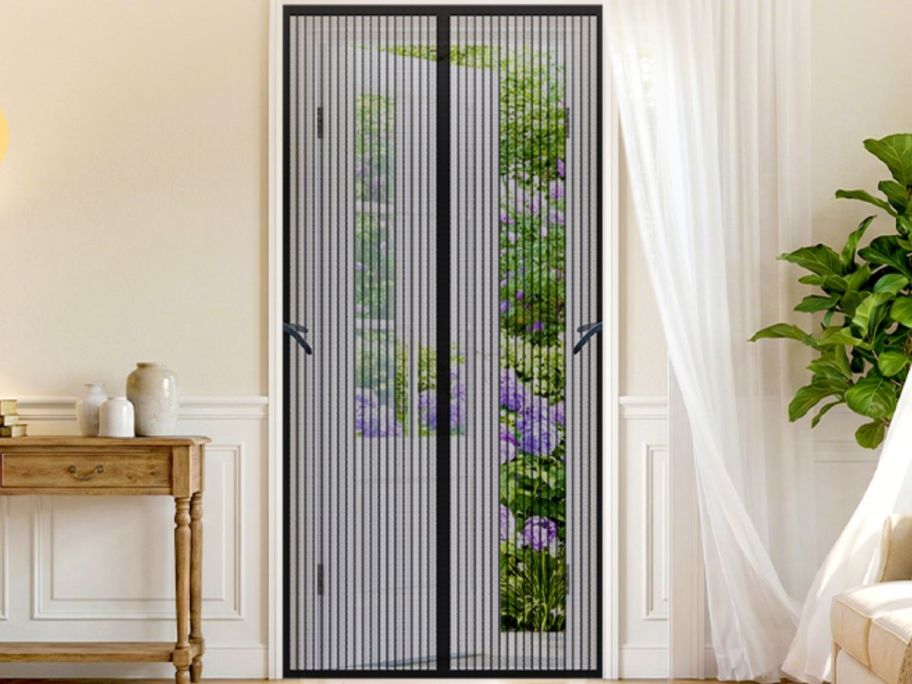 A Blisstrends Magnetic Screen Door