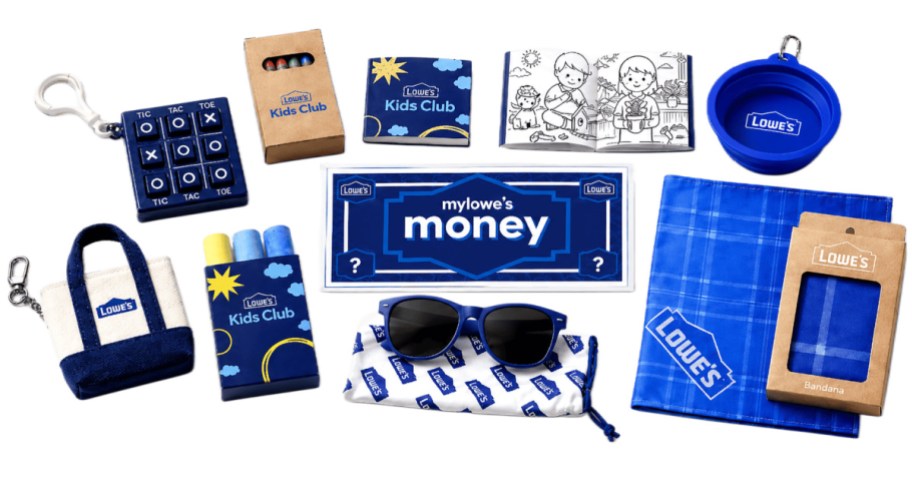 MyLowe's Money Day Giveaway items
