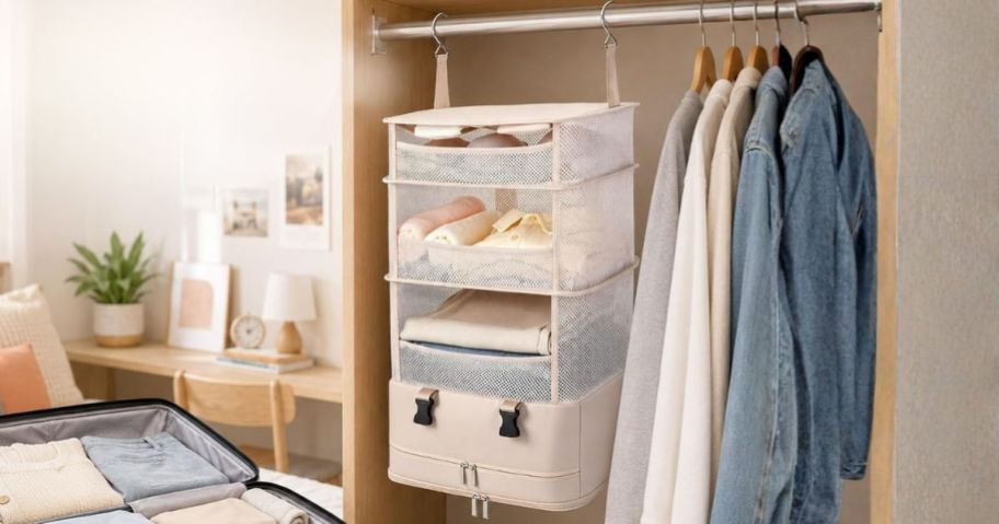 NOBLIGOAL Hanging Closet Organizer in closet