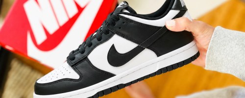 hand holding a black and white nike dunk sneaker