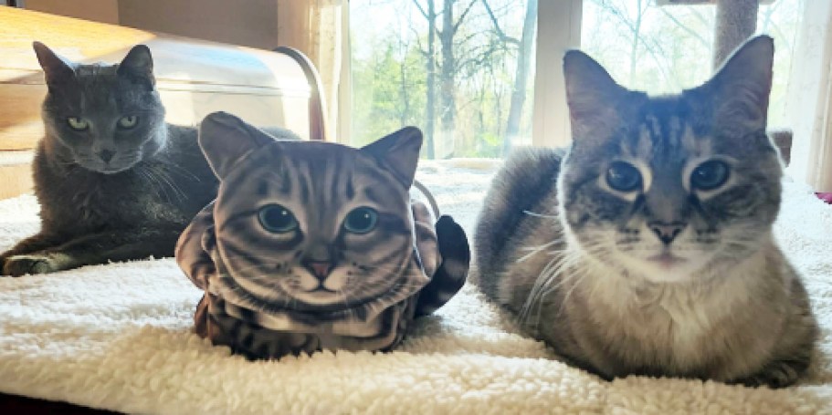 Cat-Shaped Makeup Bags Only $9.95 on Amazon (Purr-fect Gift Idea!)