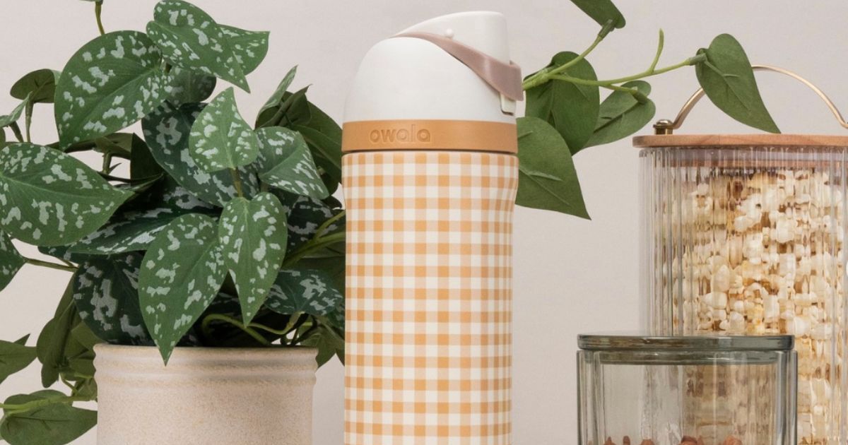 Target’s New Fall Owala Collection Is Here | Gingham Bottles, Puffer Totes & More