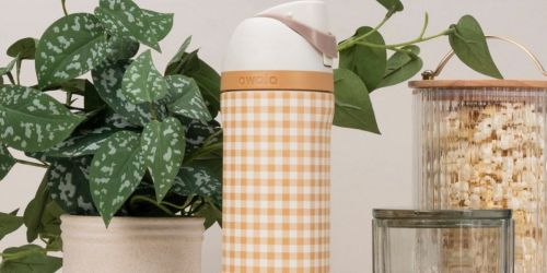 Target’s New Fall Owala Collection Is Here | Gingham Bottles, Puffer Totes & More