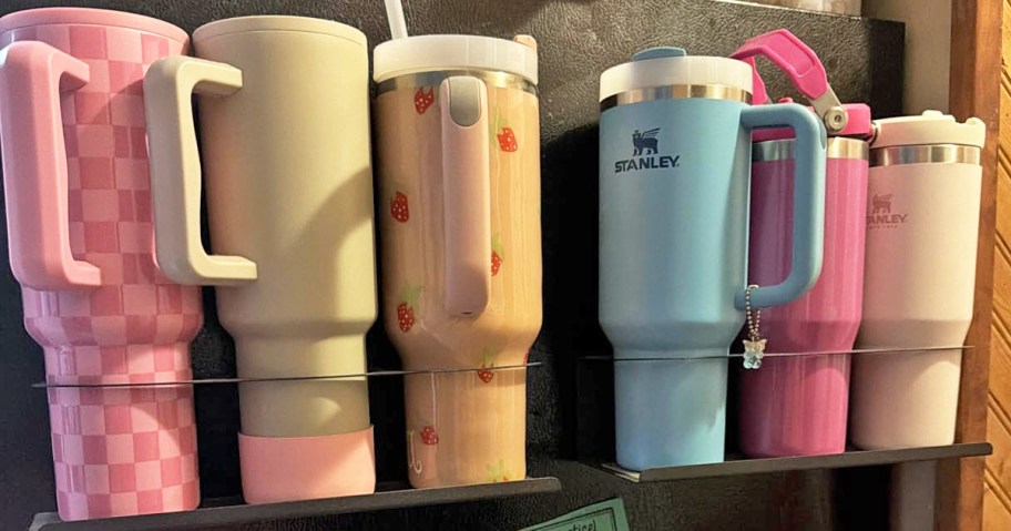 colorful tumblers in magnetics organizer on side of fridge