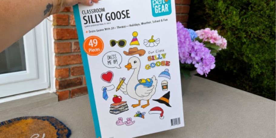 Silly Goose 49-Piece Classroom Decor Set Only $4.97 on Walmart.com