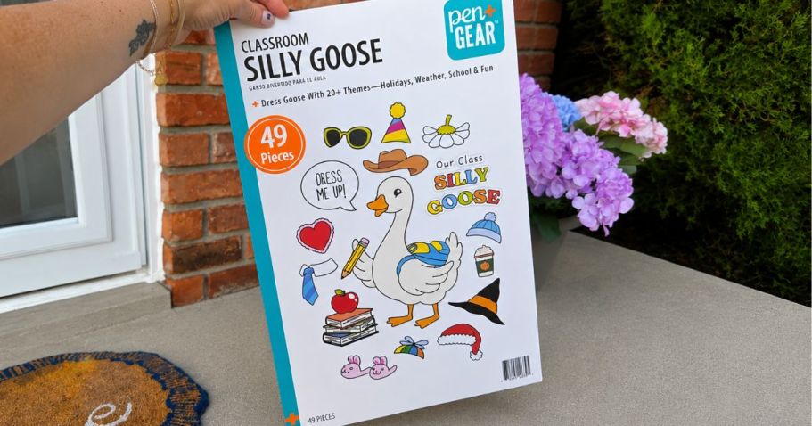 Silly Goose 49-Piece Classroom Decor Set Only $4.97 on Walmart.com