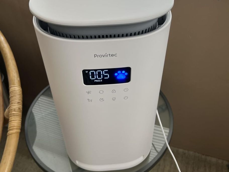 Provirtec Pet Air Purifier on a table